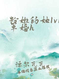 粉嫩的她1v1军婚h