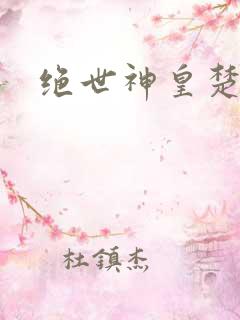 绝世神皇楚风