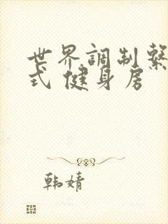 世界调制系统模式 健身房