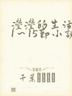 滢滢的生活日记1～15节小说
