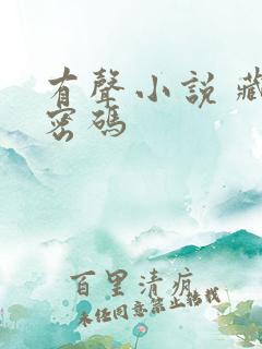 有声小说 藏地密码