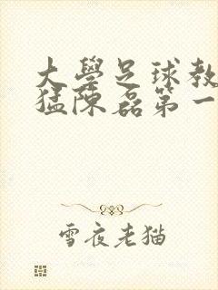 大学足球教练王猛陈磊第一篇