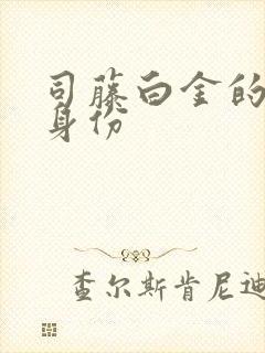 司藤白金的真实身份