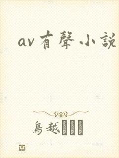 av有声小说