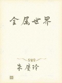 金属世界