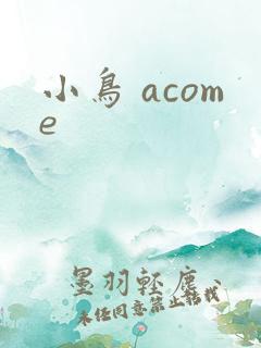 小鸟 acome