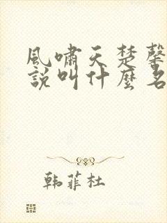 风啸天楚馨月小说叫什么名字