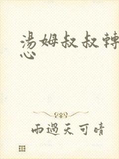 汤姆叔叔转入中心