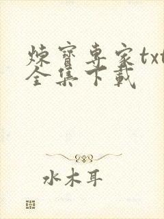 炼宝专家txt全集下载