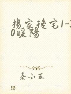 杨家后宅1-20暖阳