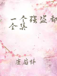 一个强盗都不留全集