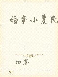 婚事小农民