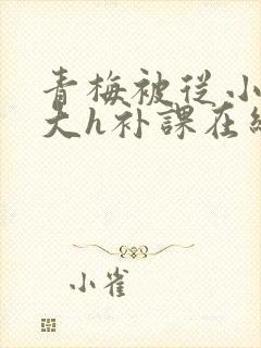 青梅被从小c到大h补课在线观看