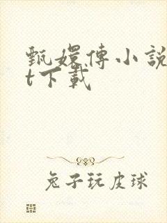 甄嬛传小说txt下载