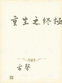 重生之终极杀手