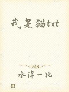 我是猫txt