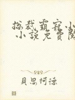 总裁霸宠小娇妻 小说免费阅读