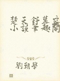 楚天舒慕容江月小说笔趣阁