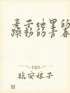 麦子地里的故事躁动的青春小说