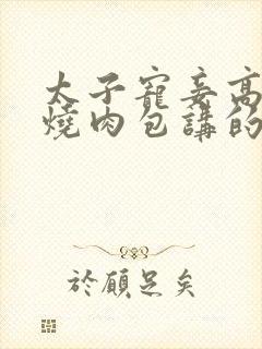 太子宠妾高肉红烧肉包讲的什么