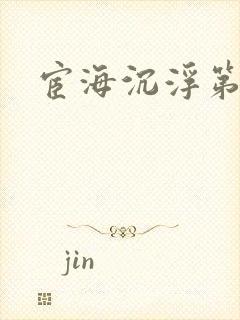 宦海沉浮第三部