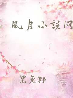 风月小说网