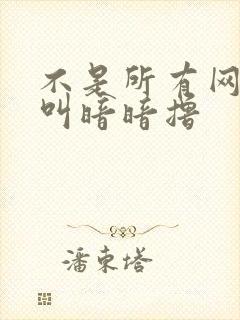 不是所有网站都叫暗暗撸