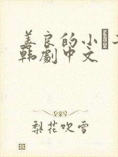 善良的小峓子2韩剧中文