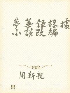 梦华录根据什么小说改编