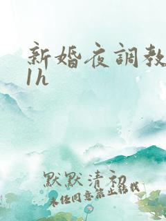 新婚夜调教1v1h