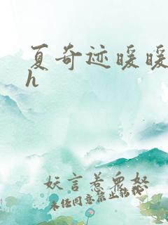 夏奇迹暖暖快穿h