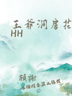 王爷洞房花烛夜HH