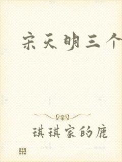 宋天明三个婆娘