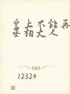 皇上不能再进了丞相大人