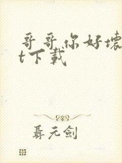 哥哥你好坏txt下载