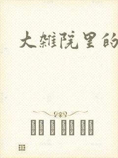 大杂院里的女人