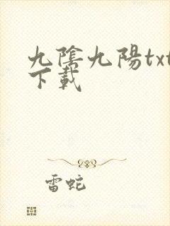 九阴九阳txt下载