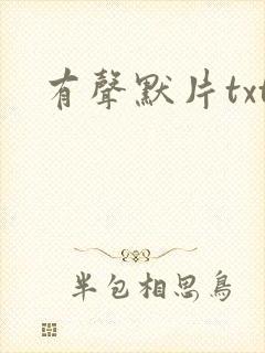 有声默片txt