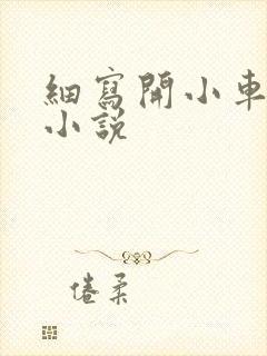 细写开小车车的小说