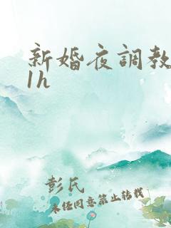 新婚夜调教1v1h