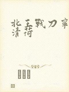 北王战刀宁北苏清荷