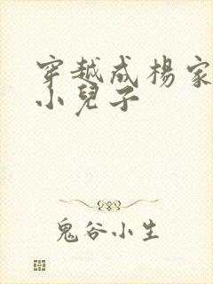 穿越成杨家将最小儿子