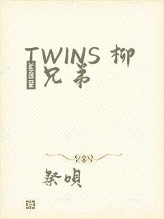 TWINS 柳澤兄弟