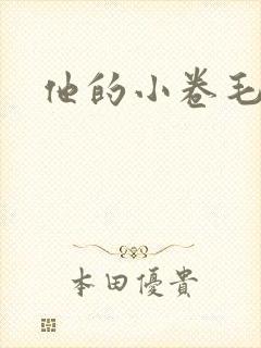 他的小卷毛