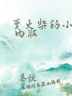 卖火柴的小男孩 肉版