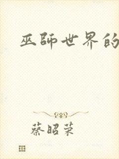 巫师世界的法师