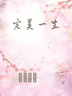 完美一生