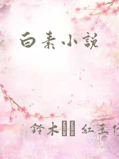 白素小说