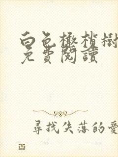 白色橄榄树全文免费阅读