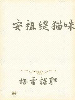 安祖缇猫咪抱抱